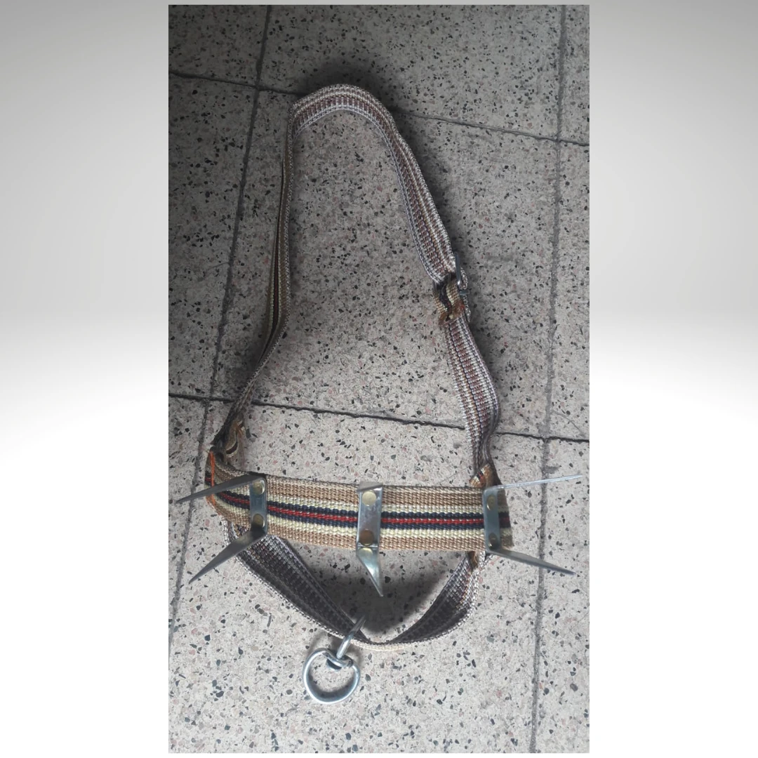 BÜYÜKBAŞ HAYVAN BURUNSAK KOLAN 2,5 CM (BUZAĞI İÇİN)