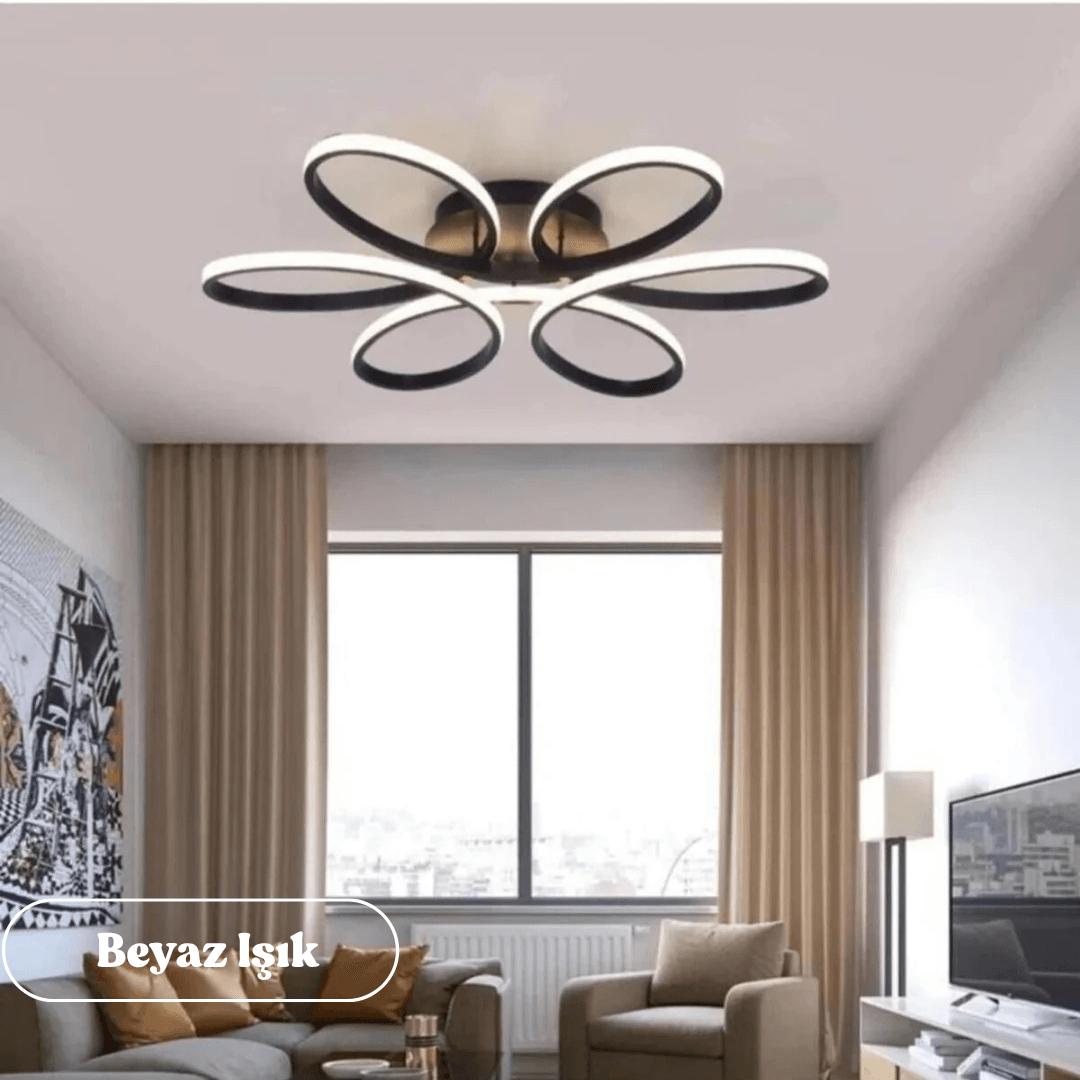 Nipul Modern Plafonyer Tavana Sıfır Power Led  BEYAZ IŞIK - Siyah Kasa image