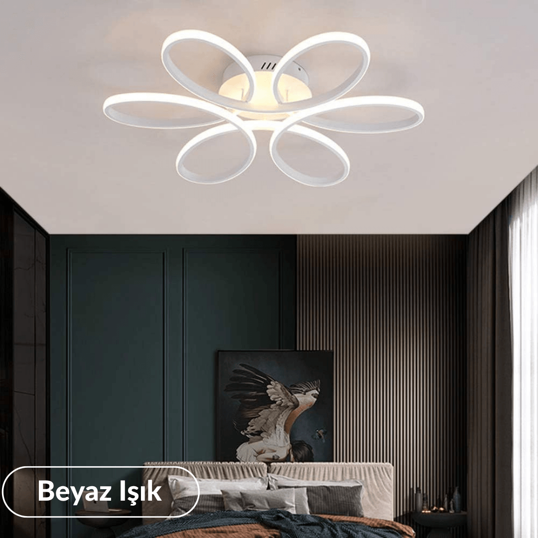 Nipul Modern Plafonyer Tavana Sıfır Power Led  BEYAZ IŞIK - Beyaz Kasa image