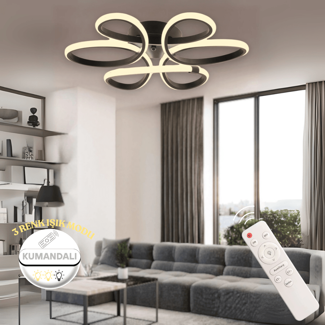 Linup Modern Plafonyer Tavana Sıfır KUMANDALI Power LED 3 RENK  - Siyah Kasa image