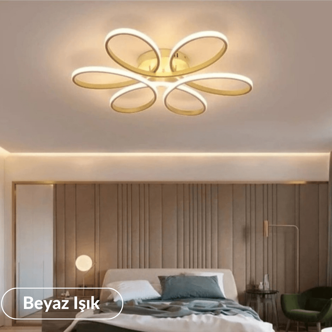Nipul Modern Plafonyer Tavana Sıfır Power Led  BEYAZ IŞIK - Eskitme Kasa image