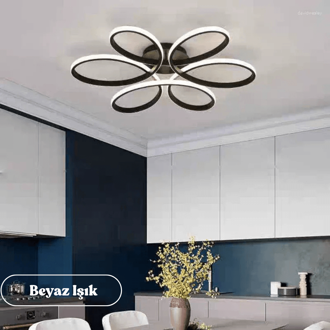 Nipul Modern Plafonyer Tavana Sıfır Power Led  BEYAZ IŞIK