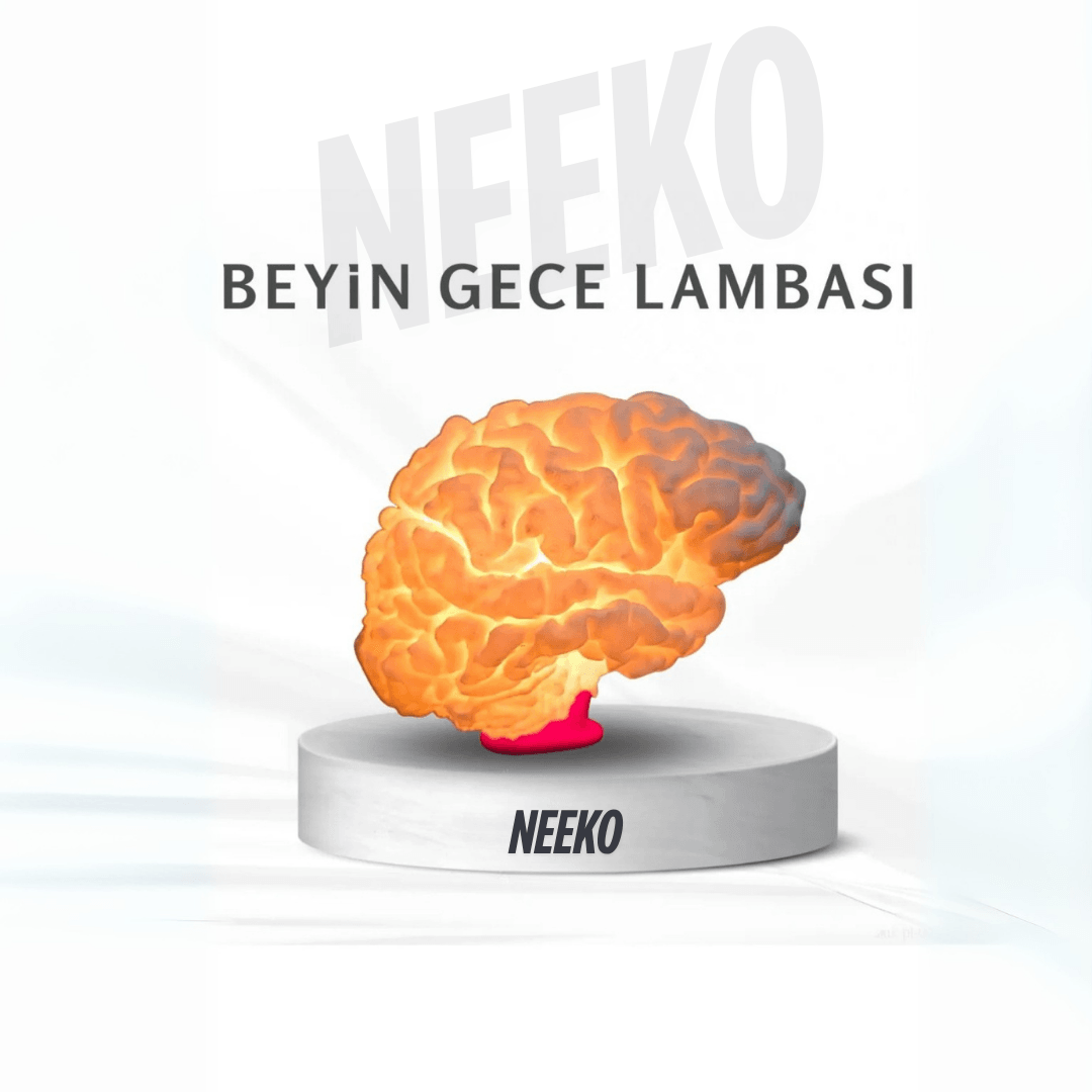 Beyin Gece Lambası – 3D Baskı LED Aydınlatmalı Dekoratif Lamba