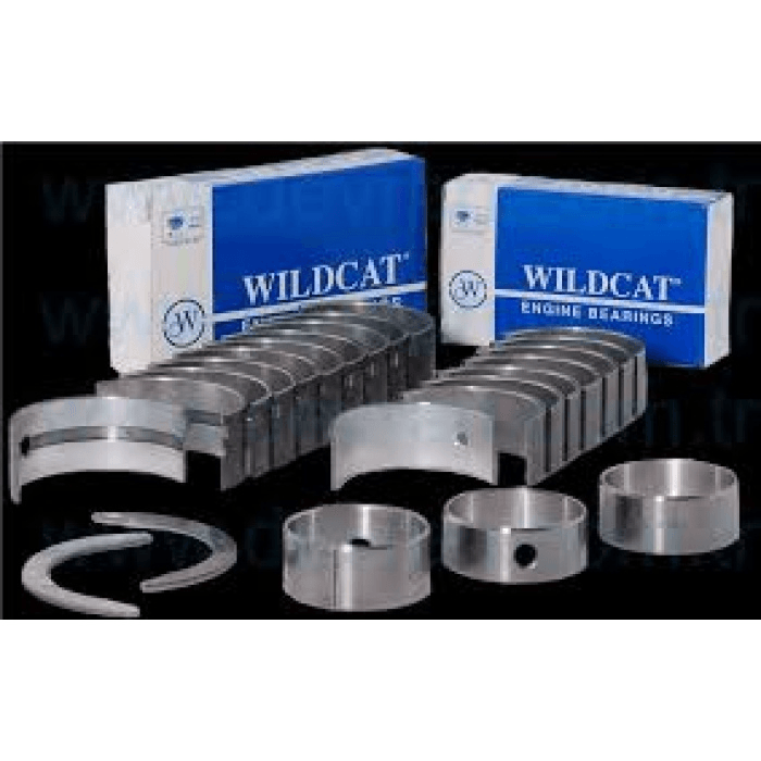 DAF TRUCK ANA YATAK STD  (DIS 1.00MM) DAF / CF 85 - XF 105/MX - MX13 - WILDCAT D-6920(14)-(F4-(1.0))