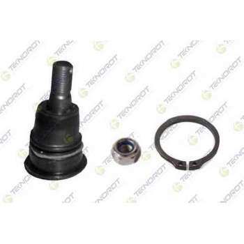 ROTIL PRIMERA P12 02>08 ALMERA N16 00>06 MAXIMA QX 99>03 - TEKNOROT N-625
