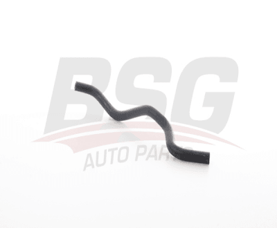 TERMOSTAT HORTUMU - BSG 25-720-116