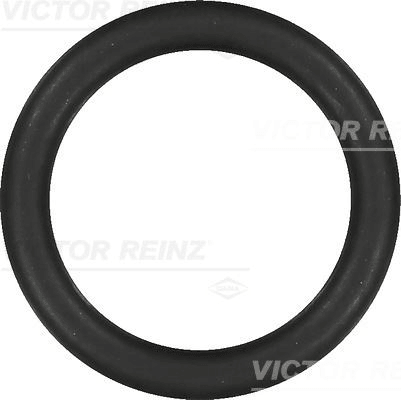 EMME MANIFOLD CONTASI BERLINGO II BERLINGO III C4 II DS4 C3 III C2 C3 C4 C5 P206 P207 P307 P407 PART - VICTOR REINZ 40-76919-00