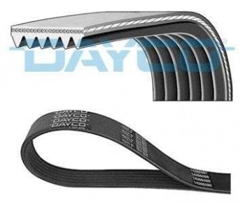 KANALLI KAYIS - DAYCO 6PK1005