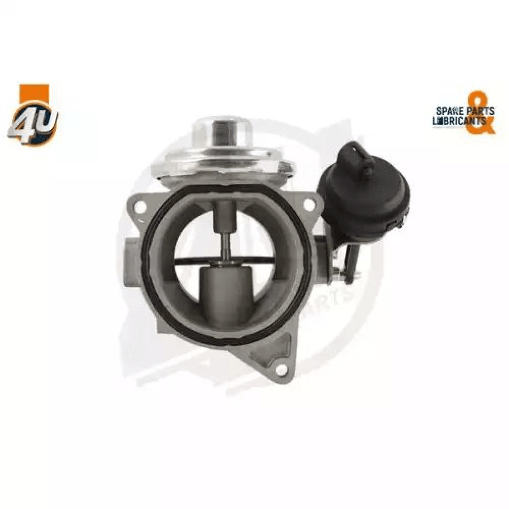 EGR VALFI - 7.24809.56.0 - WHL 7650D