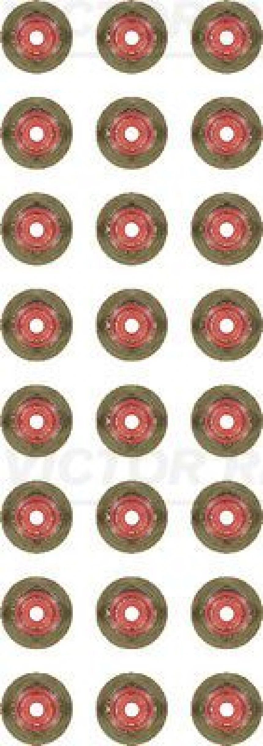 Bmw Supap Lastıgı Bmw N57n - Victor Reinz 12-41303-01