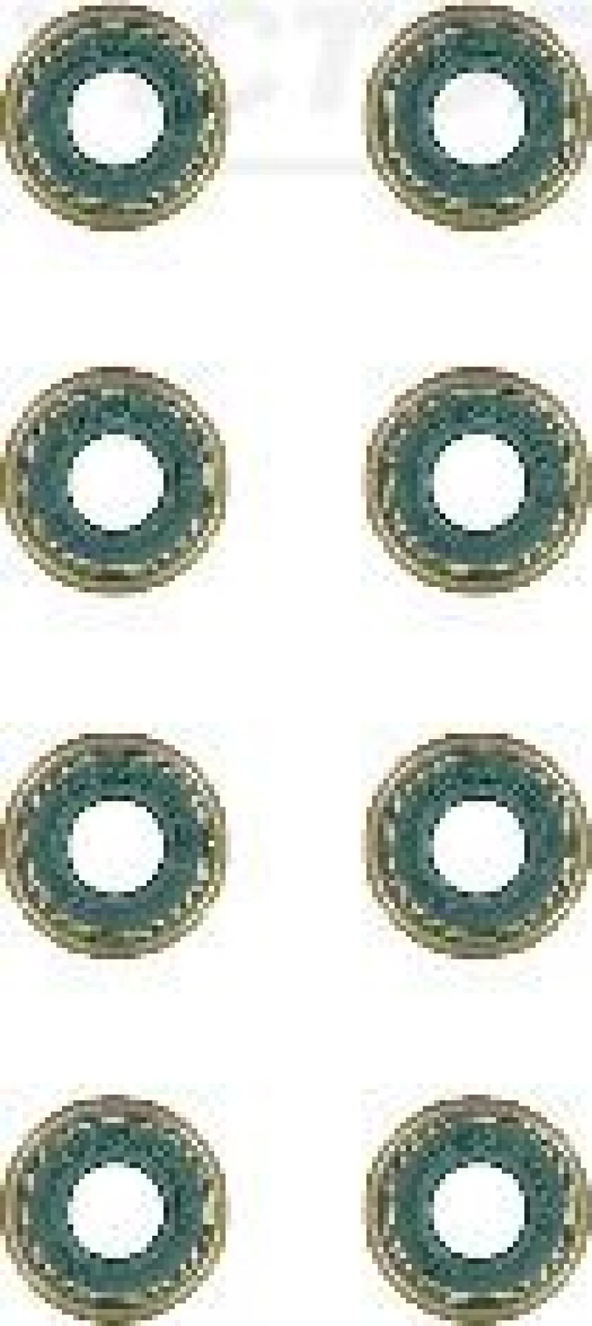 Opel Motor Subap Lastıgı Takım Kalos 1,2 8v - Victor Reinz 12-52939-03