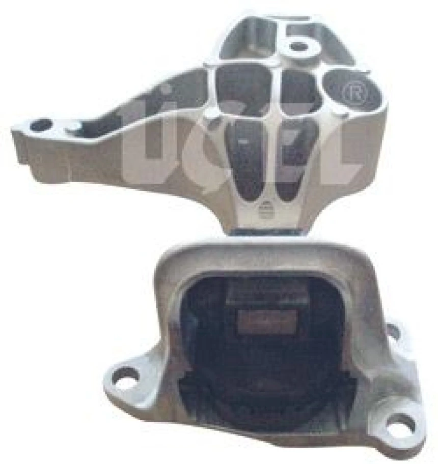 Renault Motor Takozu Sag Fluence Megane III Scenic III 1,5dci (5 İleri) - Ucel 10650