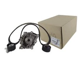 Psa Triger Eksantrık Gergi Seti Devirdaımlı 307 308 407 508 607 807 Rcz 3008 Expert III Boxer III / C4 I - Psa 1613327980