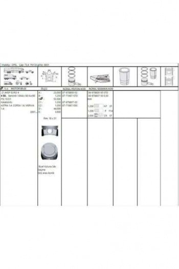 MOTOR PISTON+SEGMAN KOMPLE 0,50mm ( RIKEN )  ÇAP 73,90 ASTRA G - ASTRA H - CORSA C - MERIVA A - TIGR - AKD 44-3556-16-50