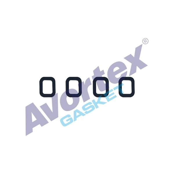 Fiat Emme Manıfold Contası Takım Marea Doblo Palıo Ym 1,6 16v - Avortex 307