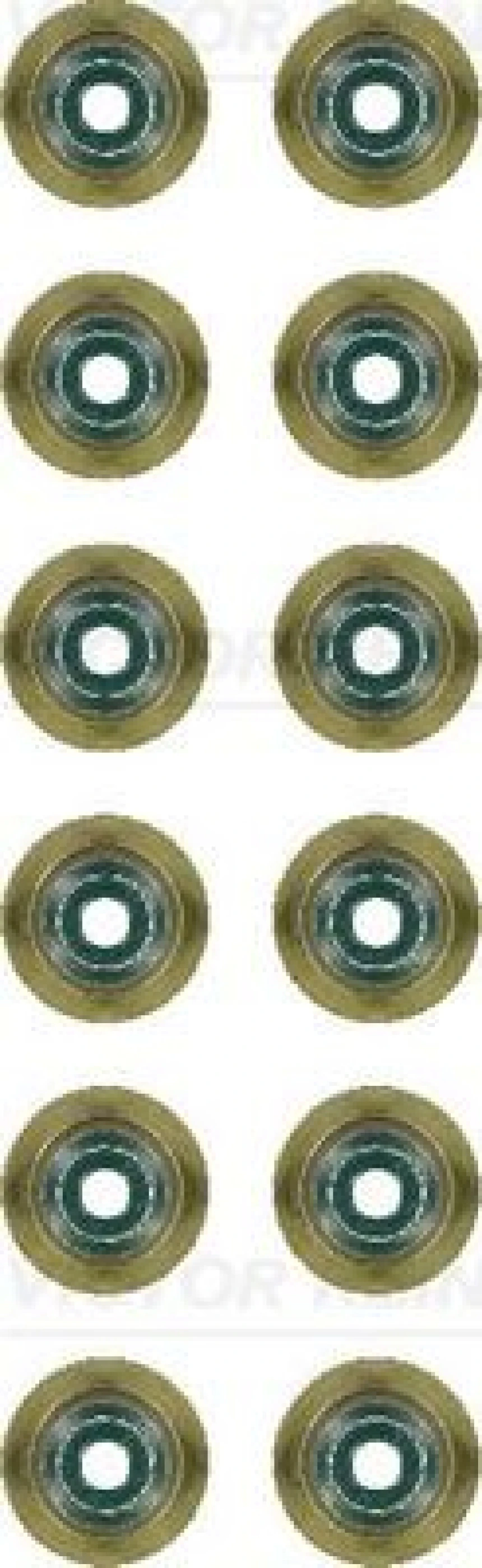 Bmw Supap Lastıgı Bmw F20 F30 E90 N55 N54 N53 N52 N51 B58 B48 B46 - Victor Reinz 12-37256-01