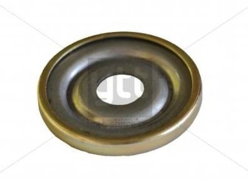 Renault Amortısor Rulmanı Clio I II Kangoo Logan Twingo Duster - Ytt Y4255