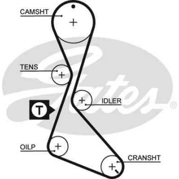 Renault Eksantrık Kayısı (125x190) Flash Mngr R11 Megane 1,7 (gd125h9 5p190) Ct684 - Gates 5130xs