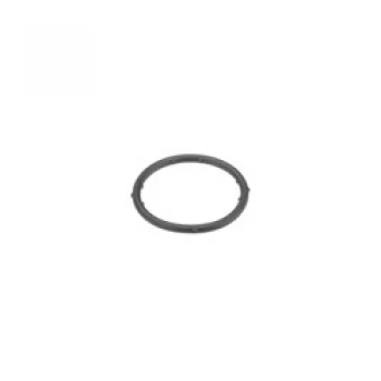 Vag Kece Sogutma Suyu Flansı İcin Amarok 4 Motıon (s1) Caddy 1 ( - Febi 18766