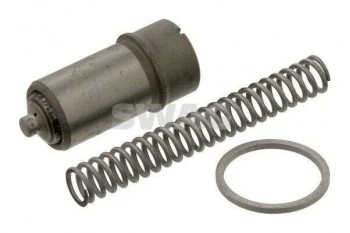 Mercedes Eksantrık Zincir Gergisi (m103) 190 W201 86>93 W124 86>93 W126 85>91 R129 89>93 W463 89>93 - Swag 10101800