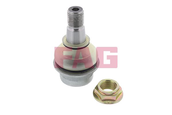 ROTIL ALT CRAFTER 06> SPRINTER 906 907 910 06>> - FAG 825032710