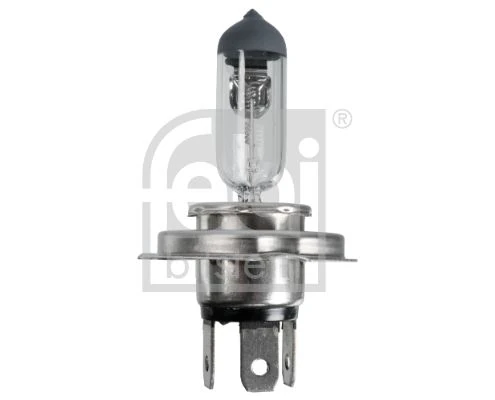 Unıversal Truck Ampul Far H4 24v 70/75w  Standart  Tirnaklı P43t - Febi 173281