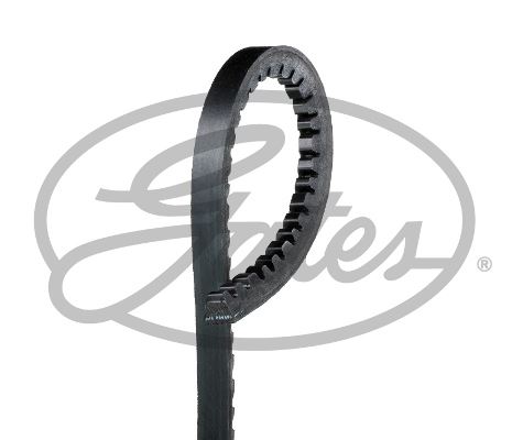 V KAYISI 10x1175 R19 TOYOTA ROVER PEUGEOT (GD10AV1175) - GATES 6227MC