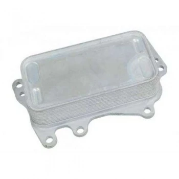 Bmw Sanzıman Yag Sogutucu Bmw N47n N47ns F10 F20 F30 F22 F25 F15 E84 F32 F34 F36 - Swag 20105939