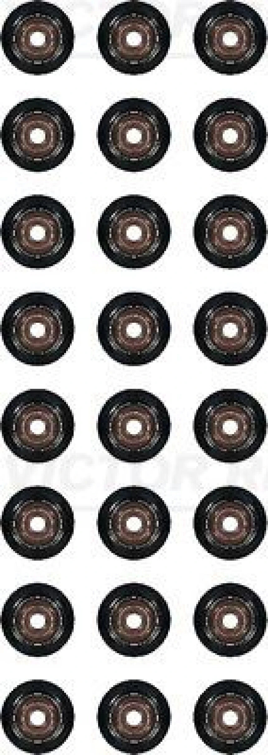 Bmw Supap Lastıgı Bmw N52 E60 E61 E63 E64 E65 E66 E67 E85 E87 E90 E91 - Victor Reinz 12-36866-02