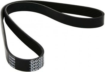 Ford V Kayısı - V Kayısı - Day 6pk1053