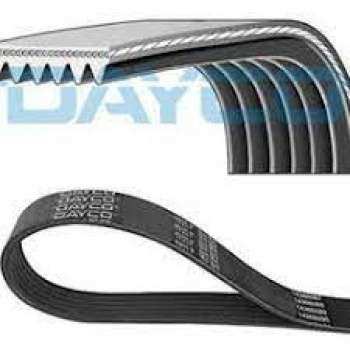 KANALLI KAYIS FOCUS I  1.4 1.6 16V 98>04  / (6PK1915) - DAYCO 6PK1915
