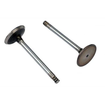 Vag Subap Takımı Polo A2 1,4tdi (amf 3 Silindir) / (6 Subap) - Supsan Tv-33517-40366-1