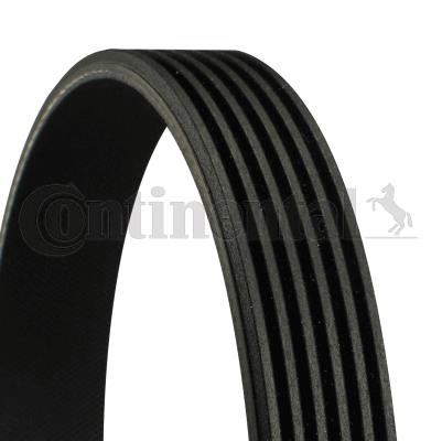 KANALLI KAYIS GOLF III 1,6 POLO 1,4 1,6 - CONTI 6PK1070
