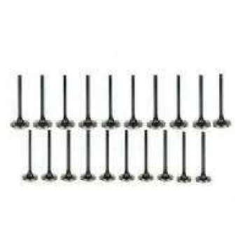 Volvo Subap Takımı Volvo S60 V70 S80 Xc70 Xc90 2,4td 20v D5244t (20 Subap) - Supsan Vt-40979-40980