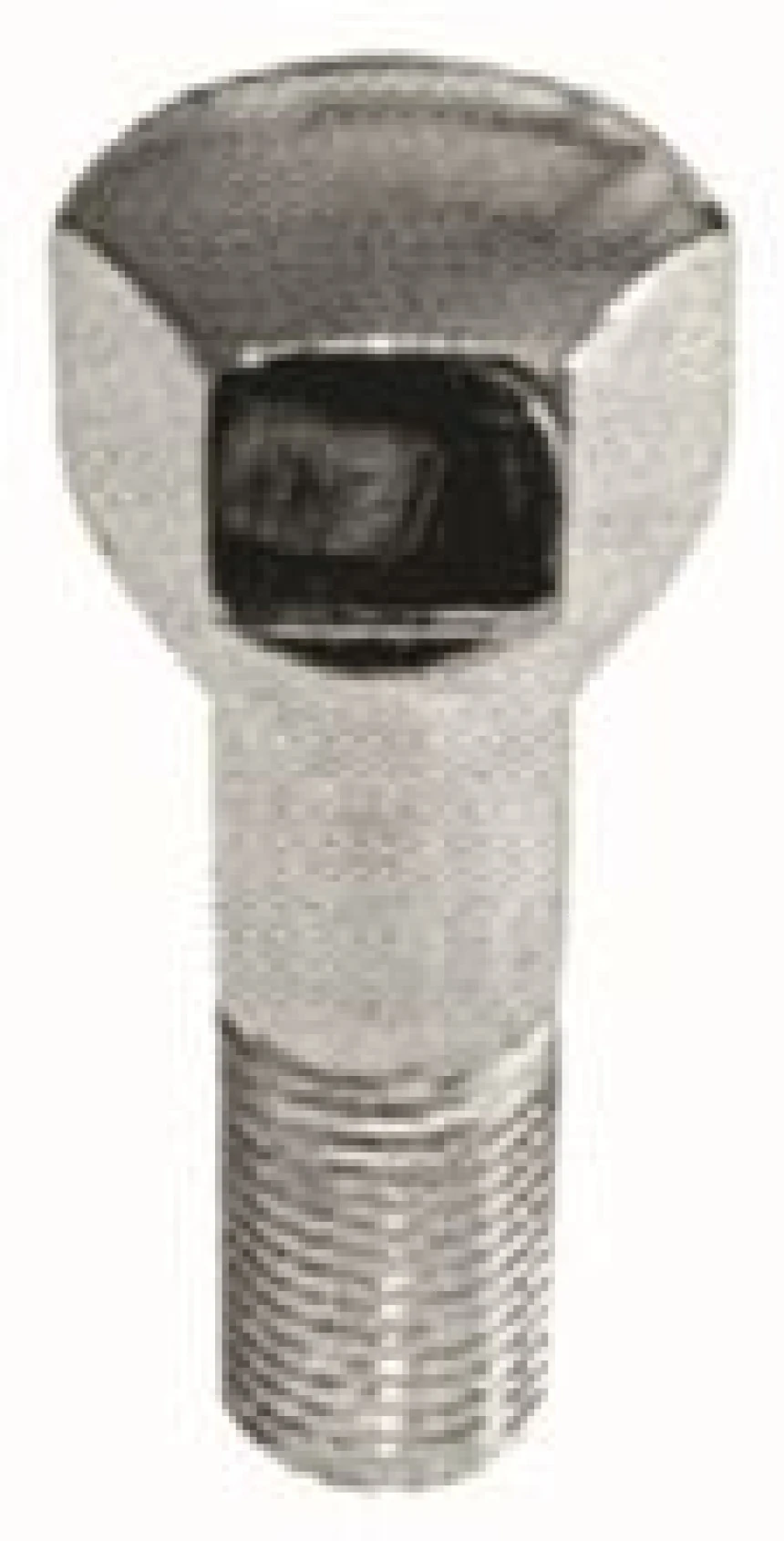 Tofas Bijon Civatası Uzun Tempra - Mtj 1409