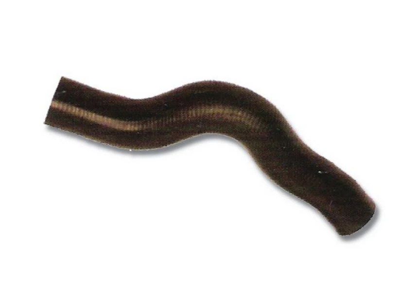 Renault Radyator Alt Hortumu Master Movano 2,2 / 2,5dci - Ytt Y81704