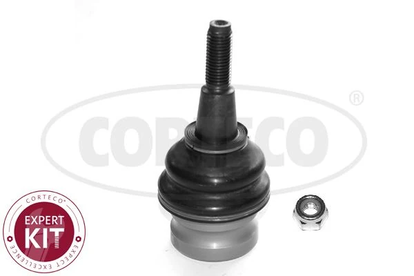 Vag Salıncak Alt Rotıl A4 08>12 A4 Allroad Quattro 10>16 A5 08>11 A6 A7 11>14 Q5 09>12 - Corteco 49398755