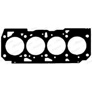 Fiat Silindir Kapak Contası Fiat Doblo Palıo Punto Strada 1.9d 01> - Payen Bz791