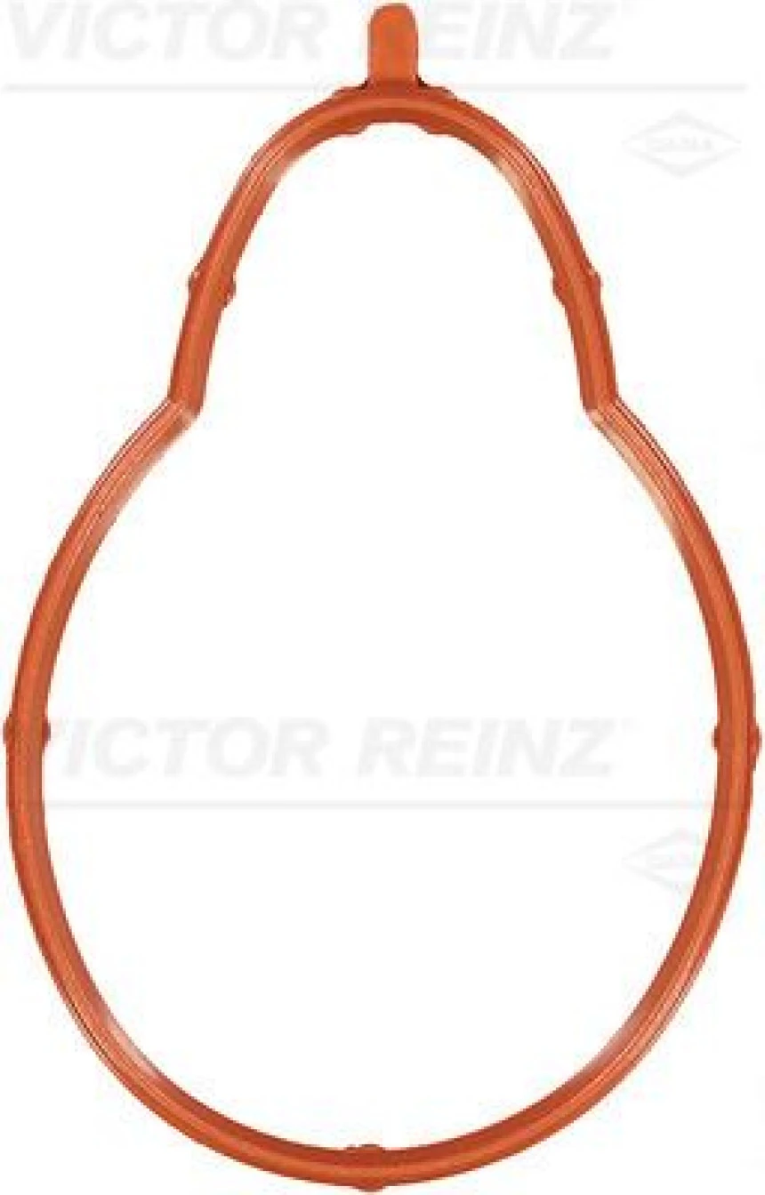 Bmw Emme Manıfold Contası Bmw M43 B16 B19 E46 E36 - Victor Reinz 71-33179-00