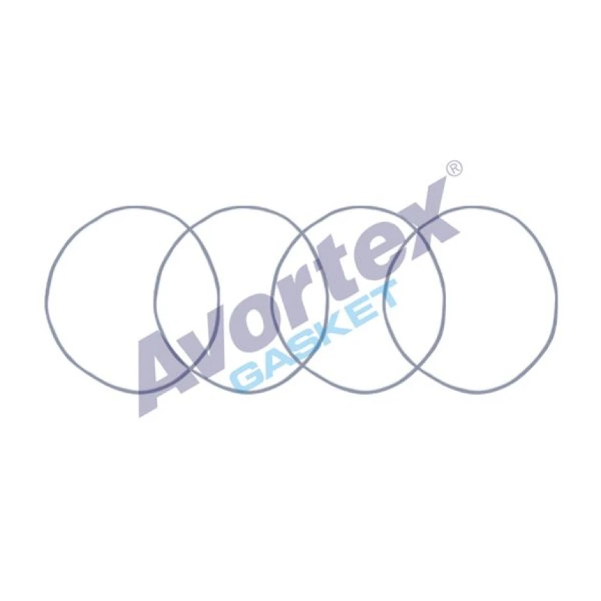 Renault Motor Gomlek Lastıgı Takım (4 Parca) R12 R9 1,4 R19 / Megane / Clio - Avortex 1621350