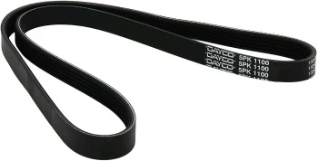 Psa V Kayısı - V Kayısı - Day 5pk1100