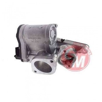 EGR VALFI 1.9DCI MEGANE II SCENIC II LAGUNA II-TRAFIC II VIVARO 1,9-GRANT VITARA 05-> - GUA 41137