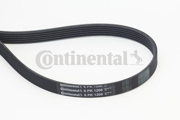 V KAYISI KANALLI KAYIS CLIO II III FLUENCE KANGOO MEGANE II III SCENIC III SYMBOL 1.5 DCI K9K 6PK - CONTI 6PK1200