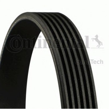 KANALLI KAYIS FIESTA 1.6 / .18 (91 96) MERCURY SEAT VW BORA GOLF TRANSPORTER 2.3 2.8 3.2 - CONTI 6PK1264