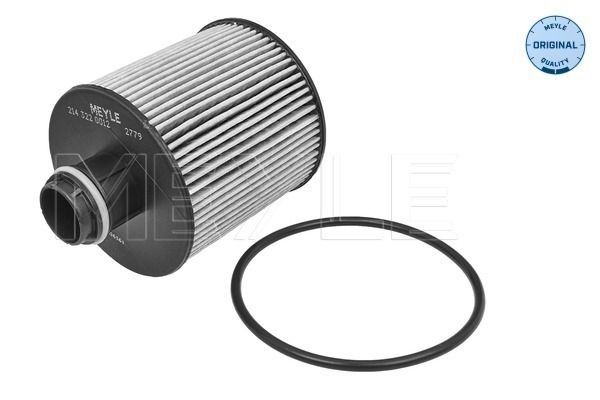 YAG FILTRESI - ORING ILE EURO6 - 55502095