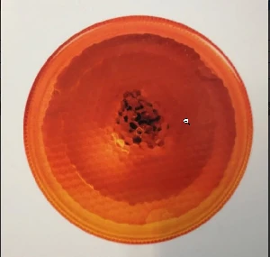 Unıversal Sinyal Lambası-Man Yuvarlak Ym./iveco   02mfs9301-082 - Farplas-500241