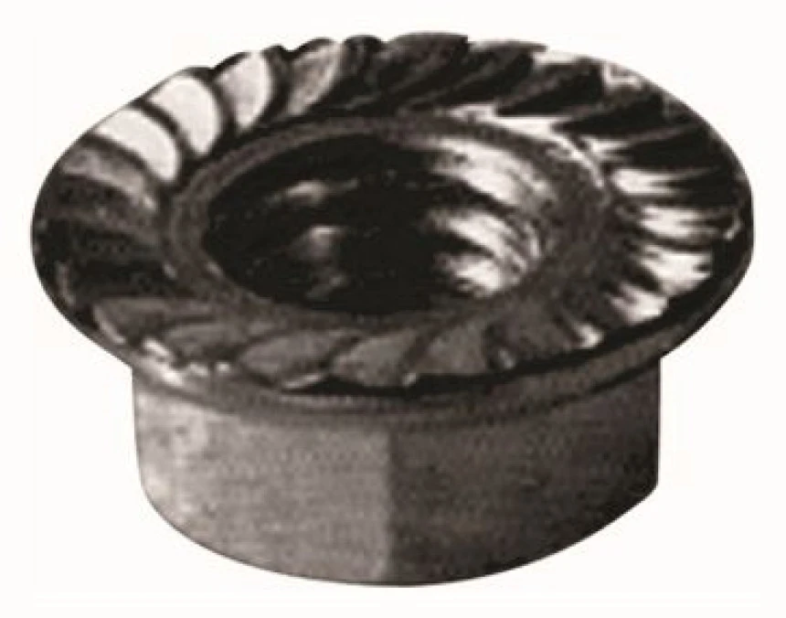 Renault Eski Pullu Somun Orjınal (10mm) R12 - Mtj 3279