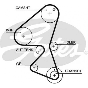 Psa Eksantrık Kayısı (144x254) P206 307 Bipper 1,4hdi 01=> C1 C2 C3 Xsara Nemo 1,4hdi Fiesta Ct1063 - Gates 5587xs