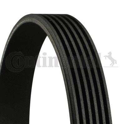 KANALLI KAYIS CLIO KANGOO 1.9 DZL (68397) - CONTI 6PK1400