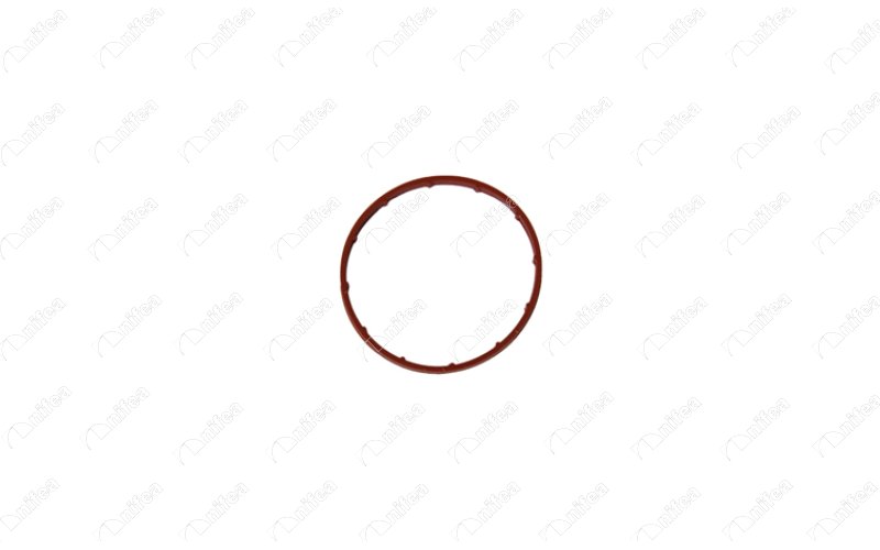 VAKUM POMPA ORING TAKIMI FIESTA FUSION 0412 P206 P207 C2 C3 NEMO BIPPER 1,4HDI - NIFEA 14781